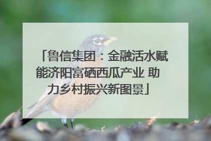 鲁信集团：金融活水赋能济阳富硒西瓜产业 助力乡村振兴新图景