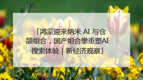 鸿蒙迎来纳米 AI 与仓颉组合，国产组合拳重塑AI搜索体验｜新经济观察