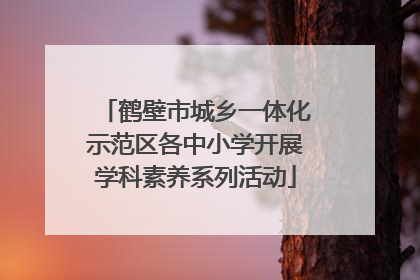 鹤壁市城乡一体化示范区各中小学开展学科素养系列活动