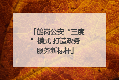鹤岗公安“三度”模式 打造政务服务新标杆