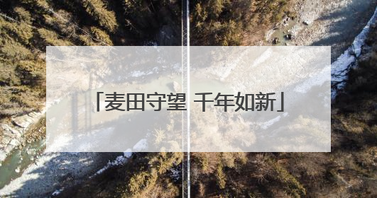 麦田守望 千年如新