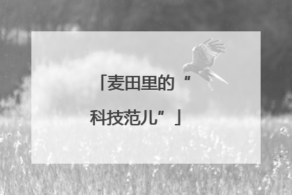 麦田里的“科技范儿”