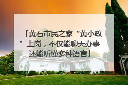 黄石市民之家“黄小政”上岗，不仅能聊天办事还能听懂多种语言