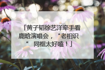 黄子韬徐艺洋牵手看鹿晗演唱会，“老相识” 同框太好嗑！