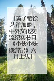 黄子韬徐艺洋加盟，中外文化交流纪实节目《小伙小妹换游记》六月上线
