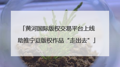 黄河国际版权交易平台上线 助推宁夏版权作品“走出去”