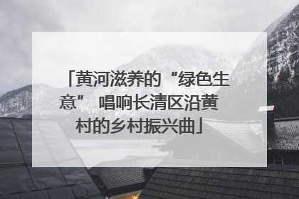 黄河滋养的“绿色生意” 唱响长清区沿黄村的乡村振兴曲