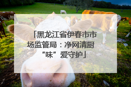 黑龙江省伊春市市场监管局：净网清厨 “味”爱守护