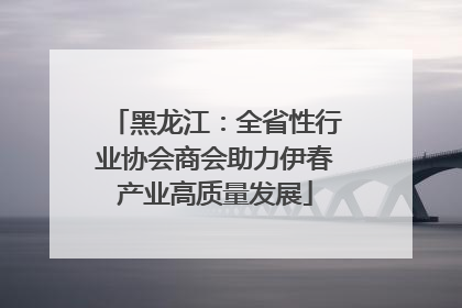 黑龙江：全省性行业协会商会助力伊春产业高质量发展