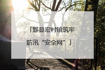 黟县宏村镇筑牢防汛“安全网”