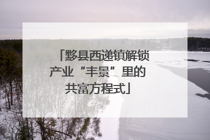 黟县西递镇解锁产业“丰景”里的共富方程式