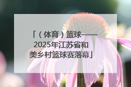 （体育）篮球——2025年江苏省和美乡村篮球赛落幕
