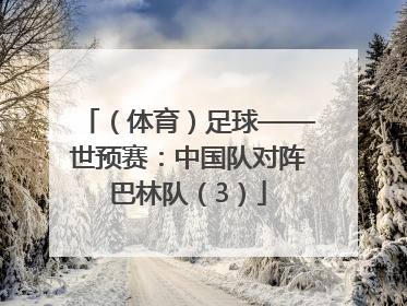 （体育）足球——世预赛：中国队对阵巴林队（3）