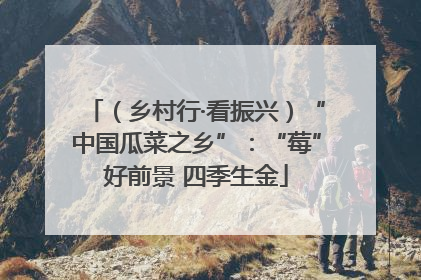 （乡村行·看振兴）“中国瓜菜之乡”：“莓”好前景 四季生金