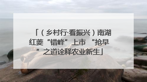 （乡村行·看振兴）南湖红菱“错峰”上市 “抢早”之道诠释农业新生