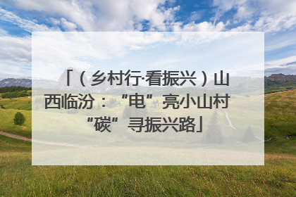 （乡村行·看振兴）山西临汾：“电”亮小山村 “碳”寻振兴路