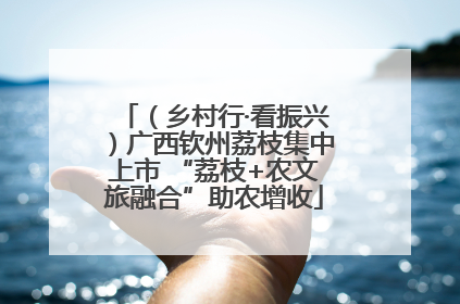 （乡村行·看振兴）广西钦州荔枝集中上市 “荔枝+农文旅融合”助农增收