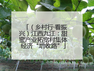 （乡村行·看振兴）江西九江：甜蜜产业拓宽村集体经济“增收路”
