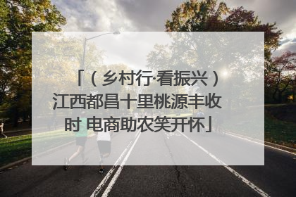 （乡村行·看振兴）江西都昌十里桃源丰收时 电商助农笑开怀