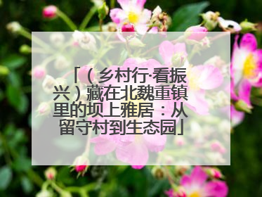 （乡村行·看振兴）藏在北魏重镇里的坝上雅居：从留守村到生态园