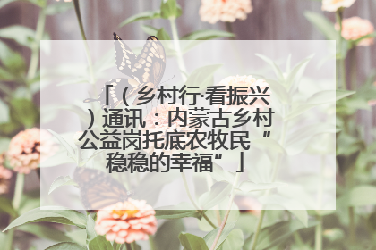 （乡村行·看振兴）通讯：内蒙古乡村公益岗托底农牧民“稳稳的幸福”