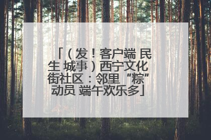 （发！客户端 民生 城事）西宁文化街社区：邻里“粽”动员 端午欢乐多