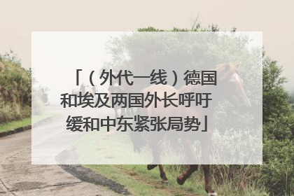 （外代一线）德国和埃及两国外长呼吁缓和中东紧张局势