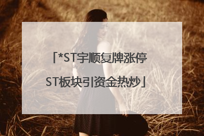*ST宇顺复牌涨停 ST板块引资金热炒