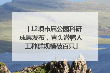 12项市属公园科研成果发布，青头潜鸭人工种群规模破百只