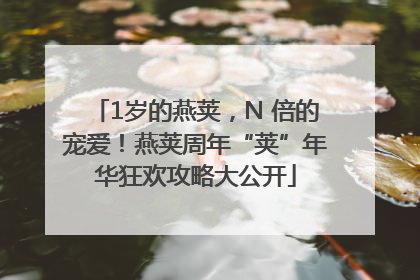 1岁的燕荚，N 倍的宠爱！燕荚周年“荚”年华狂欢攻略大公开