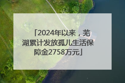2024年以来，芜湖累计发放孤儿生活保障金2758万元