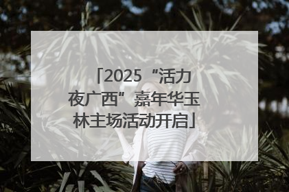 2025“活力夜广西”嘉年华玉林主场活动开启