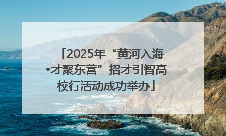 2025年“黄河入海•才聚东营”招才引智高校行活动成功举办