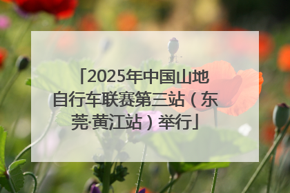2025年中国山地自行车联赛第三站（东莞·黄江站）举行