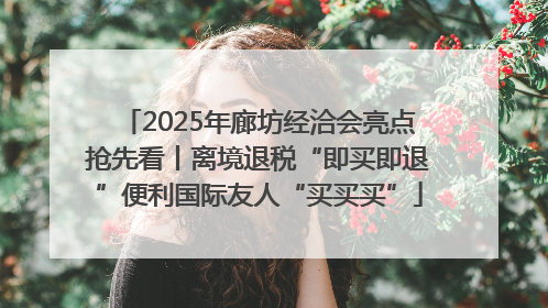 2025年廊坊经洽会亮点抢先看丨离境退税“即买即退”便利国际友人“买买买”