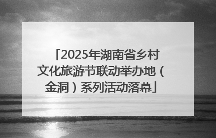 2025年湖南省乡村文化旅游节联动举办地（金洞）系列活动落幕