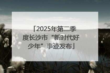 2025年第二季度长沙市“新时代好少年”事迹发布