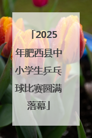 2025年肥西县中小学生乒乓球比赛圆满落幕