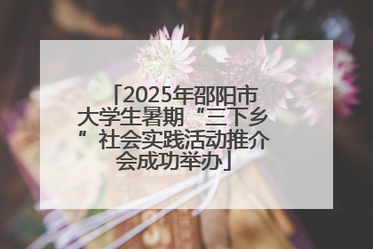 2025年邵阳市大学生暑期“三下乡”社会实践活动推介会成功举办