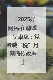 2025好网民·在聊城｜吴聿晟：党徽映“税”月 网播传政声