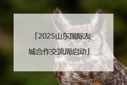 2025山东国际友城合作交流周启动