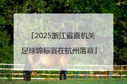 2025浙江省直机关足球锦标赛在杭州落幕