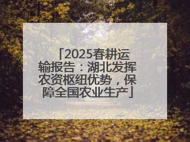2025春耕运输报告：湖北发挥农资枢纽优势，保障全国农业生产