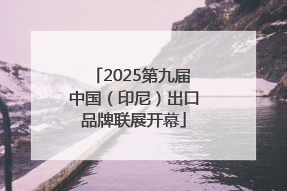 2025第九届中国（印尼）出口品牌联展开幕