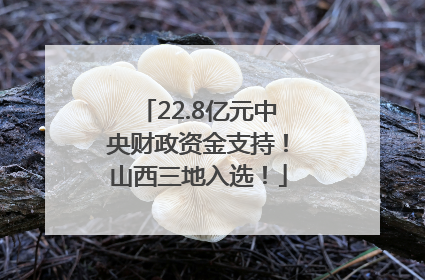 22.8亿元中央财政资金支持！山西三地入选！