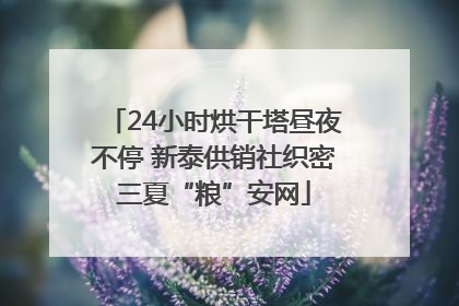 24小时烘干塔昼夜不停 新泰供销社织密三夏“粮”安网