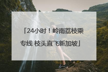 24小时！岭南荔枝乘专线 枝头直飞新加坡