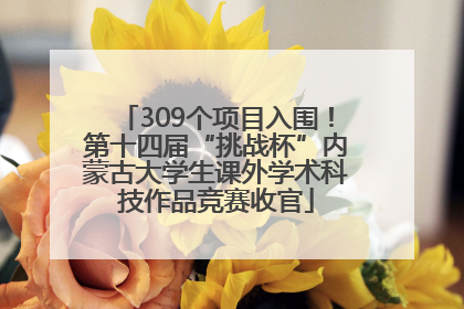 309个项目入围！第十四届“挑战杯”内蒙古大学生课外学术科技作品竞赛收官