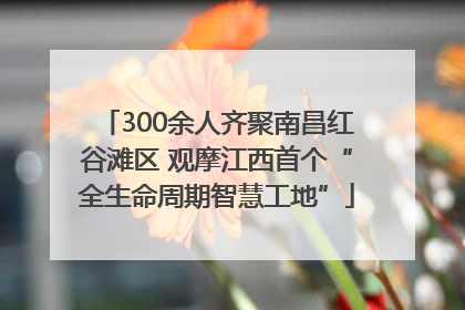 300余人齐聚南昌红谷滩区 观摩江西首个“全生命周期智慧工地”