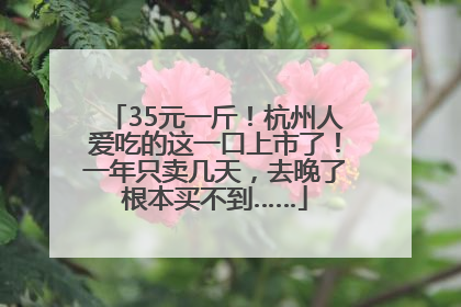 35元一斤！杭州人爱吃的这一口上市了！一年只卖几天，去晚了根本买不到……